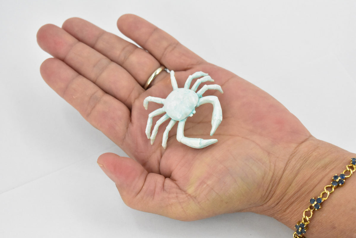 Crab, Cave, Rubber, Crustaceans, Educational, Realistic, Hand Painted, Figure, Lifelike Figurine, Replica, Gift,      2"      F764 B625