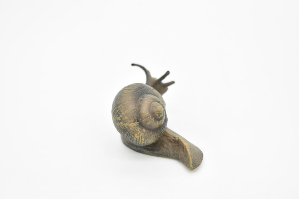 Snail, Shelled Gastropod, Very Realistic Rubber Design, Educational, Hand Painted, Rubber Insect, Diorama Model, Realistic, Kids, Toys, 3 1/2 Inches. 