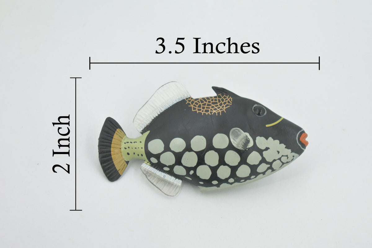 Fish, Clown Triggerfish, Tropical, Museum Quality, Hand Painted, Rubber, Trigger Fish, Realistic, Figure, Model, Toy, Kids, Educational, Gift,   3 1/2"     CH519 BB158
