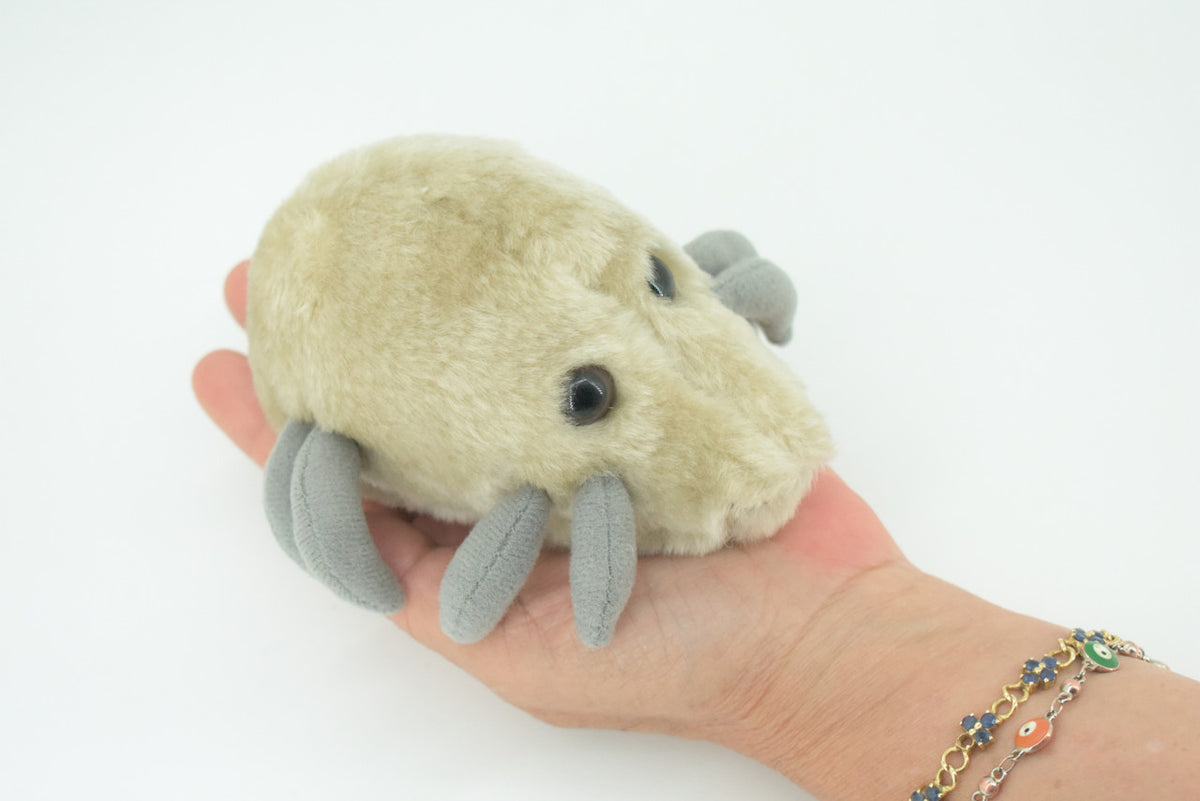 Dust Mite, Dermatophagoides, are microscopic Arachnids, Plush Design, Educational, Figure, Replica, Gift,    5"   F1561 B137