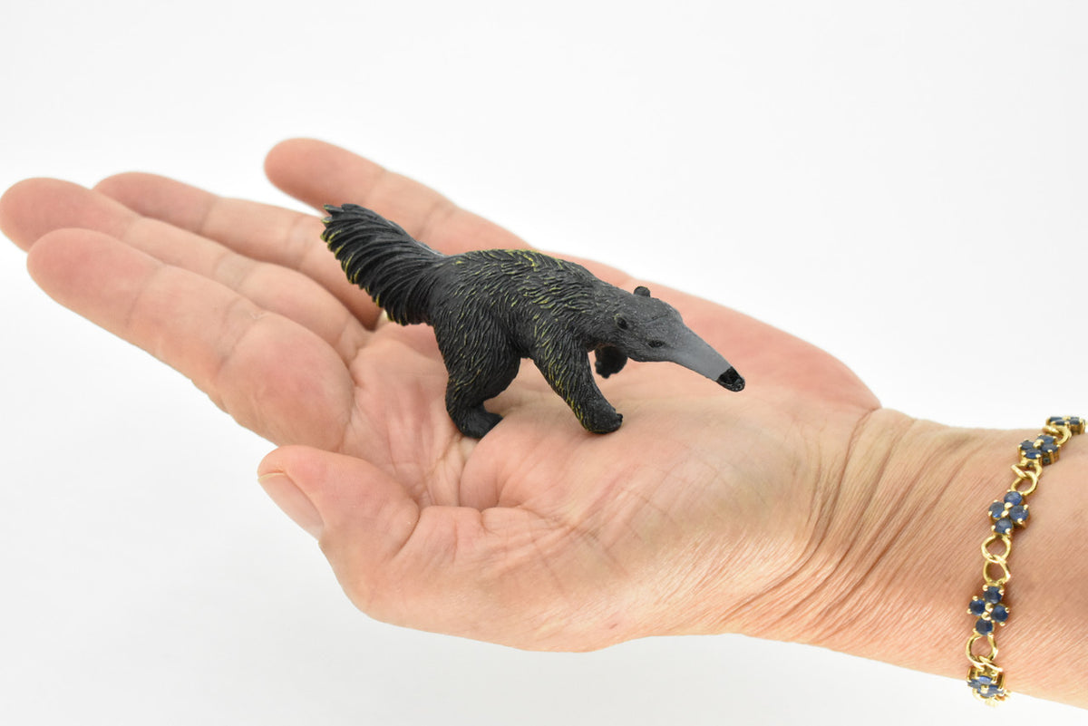 Anteater, Baby, Vermilingua, Very Nice Design, Hand Painted, Educational, Rubber Animal, Realistic Toy Figure, Diorama Model, Kids,  3 Inches.
