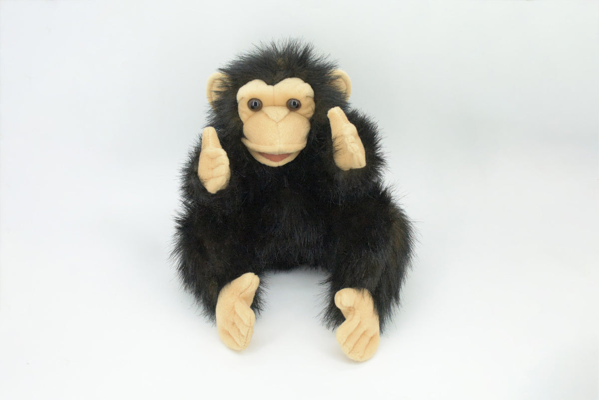 Chimpanzee Hand Puppet, Very Nice Plush Chimpanzee Baby, Stuffed Primate, Educational, Realistic, Lifelike, Gift,   15"  FM39 B416