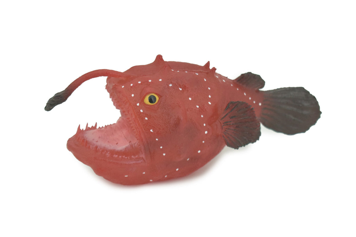 Anglerfish, Lophiiformes, Museum Quality, Hand Painted, Realistic, Solid Rubber, Animal, Figure, Model, Toy, Kids, Educational, Gift    5"     CH285 BB178