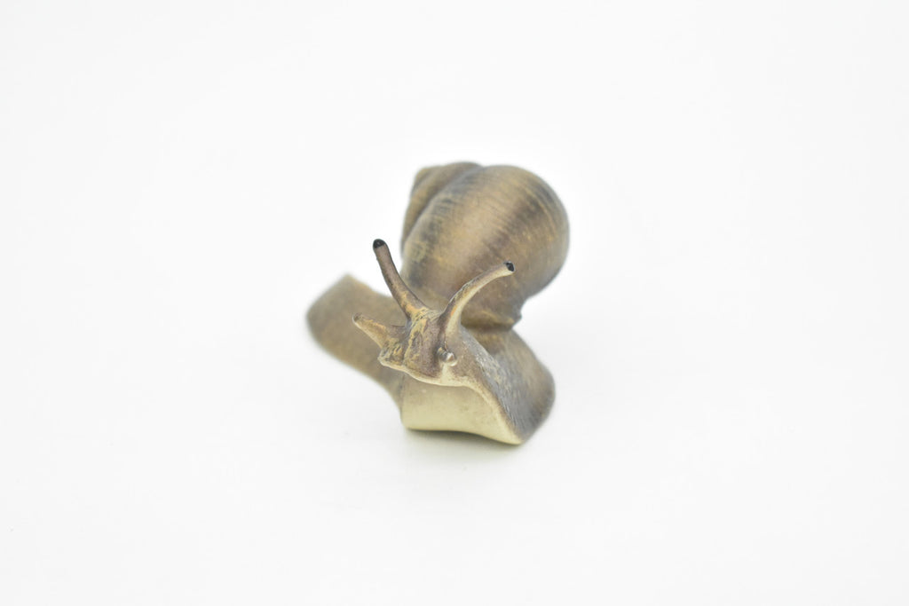 Snail, Shelled Gastropod, Very Realistic Rubber Design, Educational, Hand Painted, Rubber Insect, Diorama Model, Realistic, Kids, Toys, 3 1/2 Inches. 