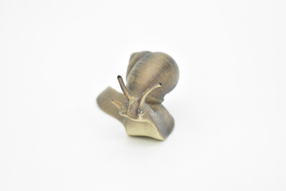 Snail, Shelled Gastropod, Very Realistic Rubber Design, Educational, Hand Painted, Rubber Insect, Diorama Model, Realistic, Kids, Toys, 3 1/2 Inches. 
