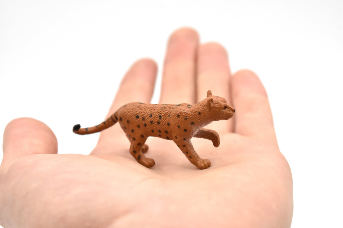 Leopard ~ Plastic Replica 2 1/2"  ~  F7030-B26