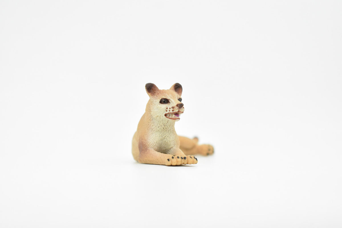 Lion, Mountain, Puma, Realistic Rubber Reproduction, Hand Painted Figurines    4"     CH153 B248