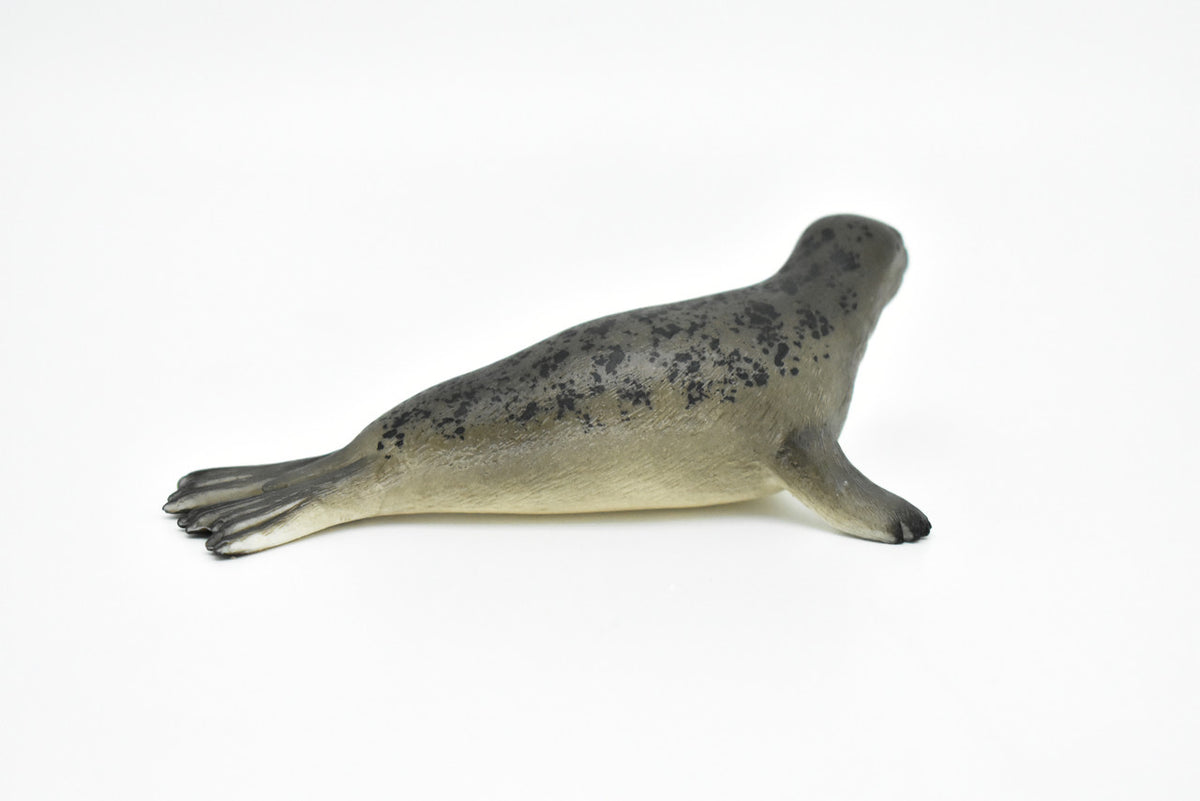 Seal, Grey, Realistic Toy Model Plastic Replica, Kids Educational Gift   4.5" M041 B638