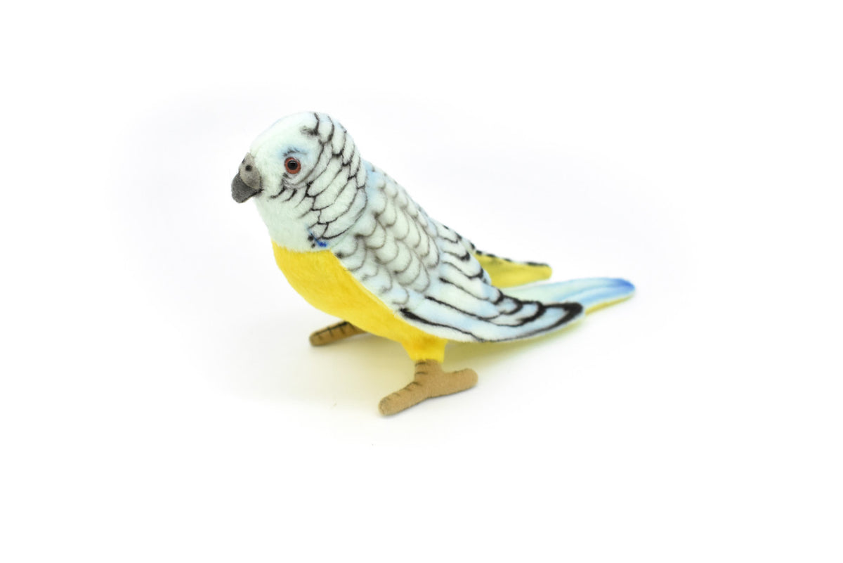 Parakeet, Budgerigar or Budgie, Blue,  Very Nice Plush Bird    9"    F885 B95