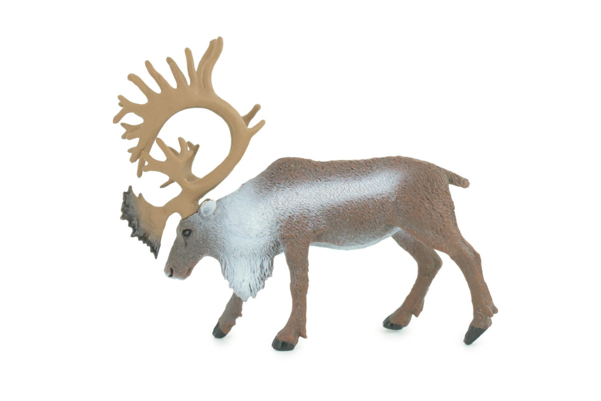 Reindeer, Caribou, Museum Quality, Educational, Hand Painted, Realistic, Rubber Animal, Realistic, Diorama, Toy, Kids, Gift, 4 1/2 Inches. CH808 BB188