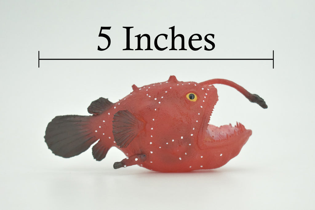 Anglerfish, Lophiiformes, Museum Quality, Hand Painted, Realistic, Solid Rubber, Animal, Figure, Model, Toy, Kids, Educational, Gift    5"     CH285 BB178