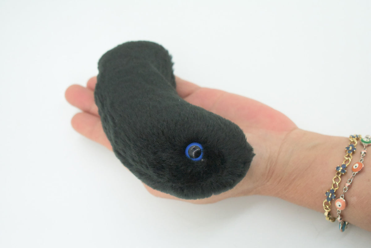 Black Death, Bubonic Plague, Black Plague Virus, Plush Design, Educational, Figure, Replica, Gift,     6"     F3658 B92