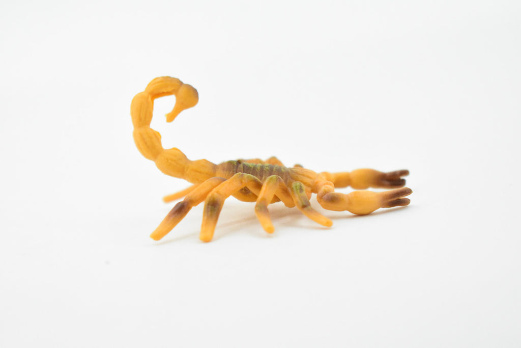 Scorpion, Brown, Arachnids, High Quality, Hand Painted, Educational, Realistic Toy Figure, Diorama Model, Replica, Kids,  2 1/2 Inches. 