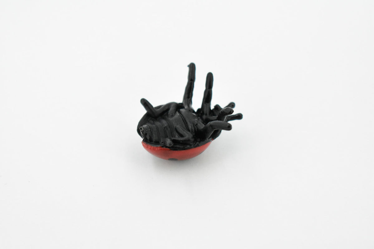 Ladybug, Lady Bug, Beetles, Educational, Museum Quality, Hand Painted, Rubber Insect, Figure, Diorama Model, Realistic, Kids, Toys,  1 1/4 Inches. 