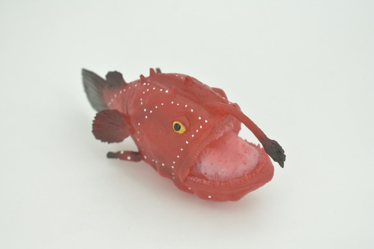 Anglerfish, Lophiiformes, Museum Quality, Hand Painted, Realistic, Solid Rubber, Animal, Figure, Model, Toy, Kids, Educational, Gift    5"     CH285 BB178