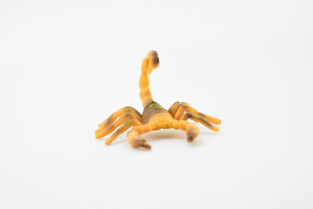 Scorpion, Brown, Arachnids, High Quality, Hand Painted, Educational, Realistic Toy Figure, Diorama Model, Replica, Kids,  2 1/2 Inches. 