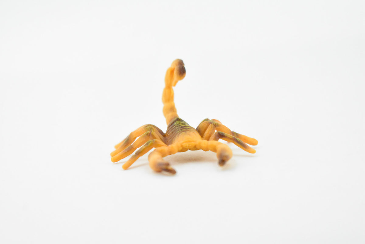 Scorpion, Brown, Arachnids, High Quality, Hand Painted, Educational, Realistic Toy Figure, Diorama Model, Replica, Kids,  2 1/2 Inches. 