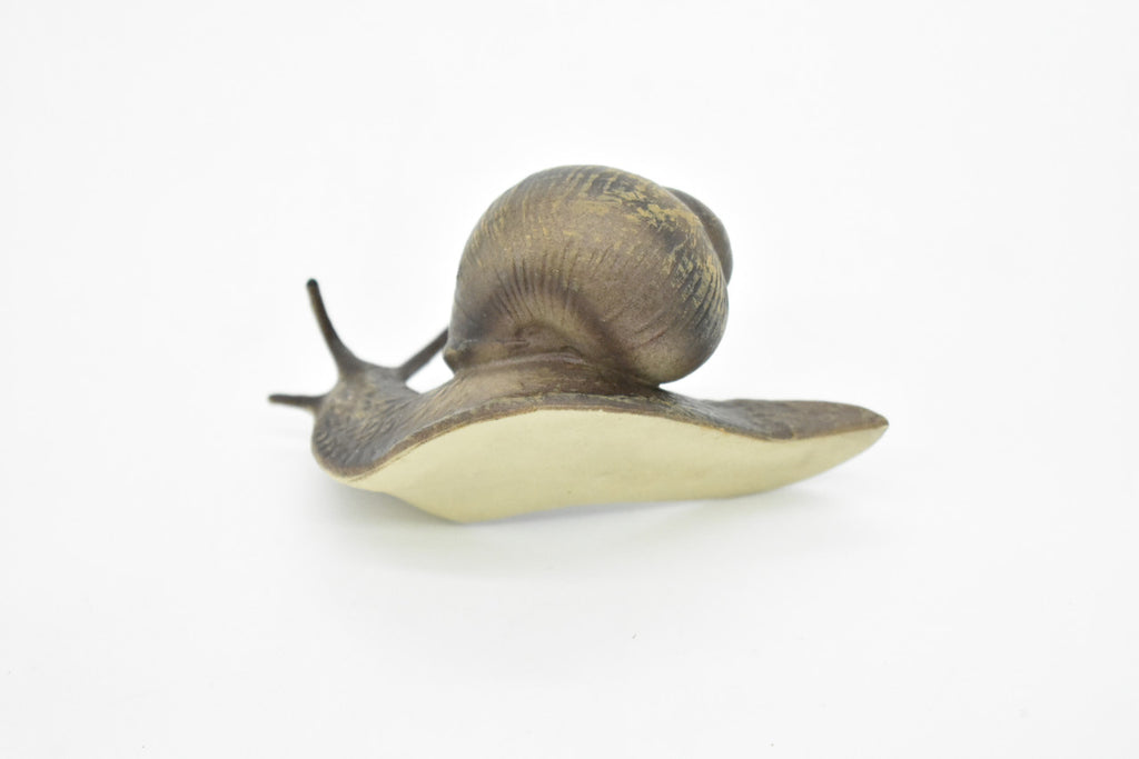 Snail, Shelled Gastropod, Very Realistic Rubber Design, Educational, Hand Painted, Rubber Insect, Diorama Model, Realistic, Kids, Toys, 3 1/2 Inches. 