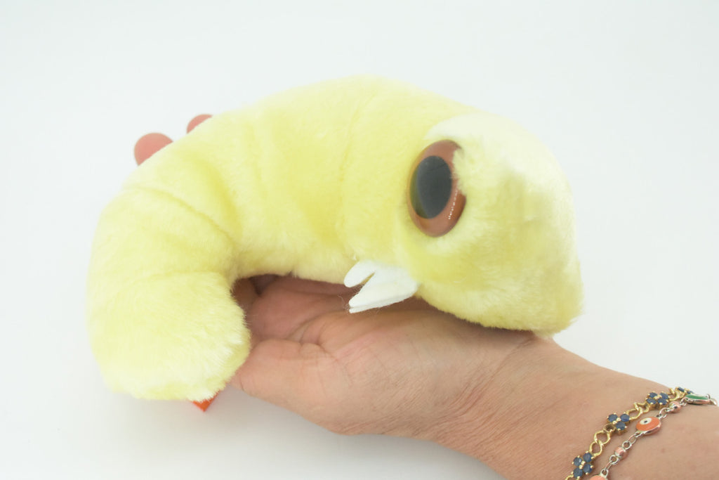 Bookworm, Anobium punctatum, Booklice, Microorganisms Plush Design, Educational, Figure, Replica, Gift,             6"    F1697 B102