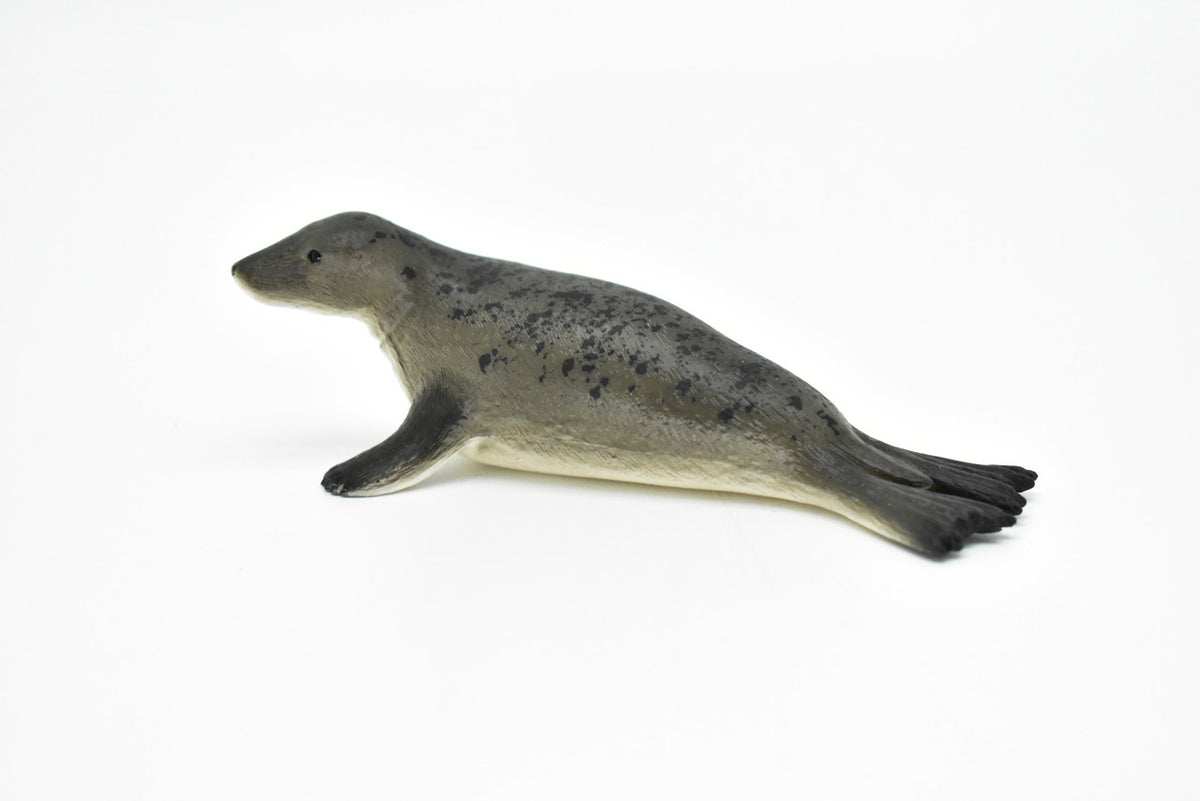 Seal, Grey, Realistic Toy Model Plastic Replica, Kids Educational Gift   4.5" M041 B638