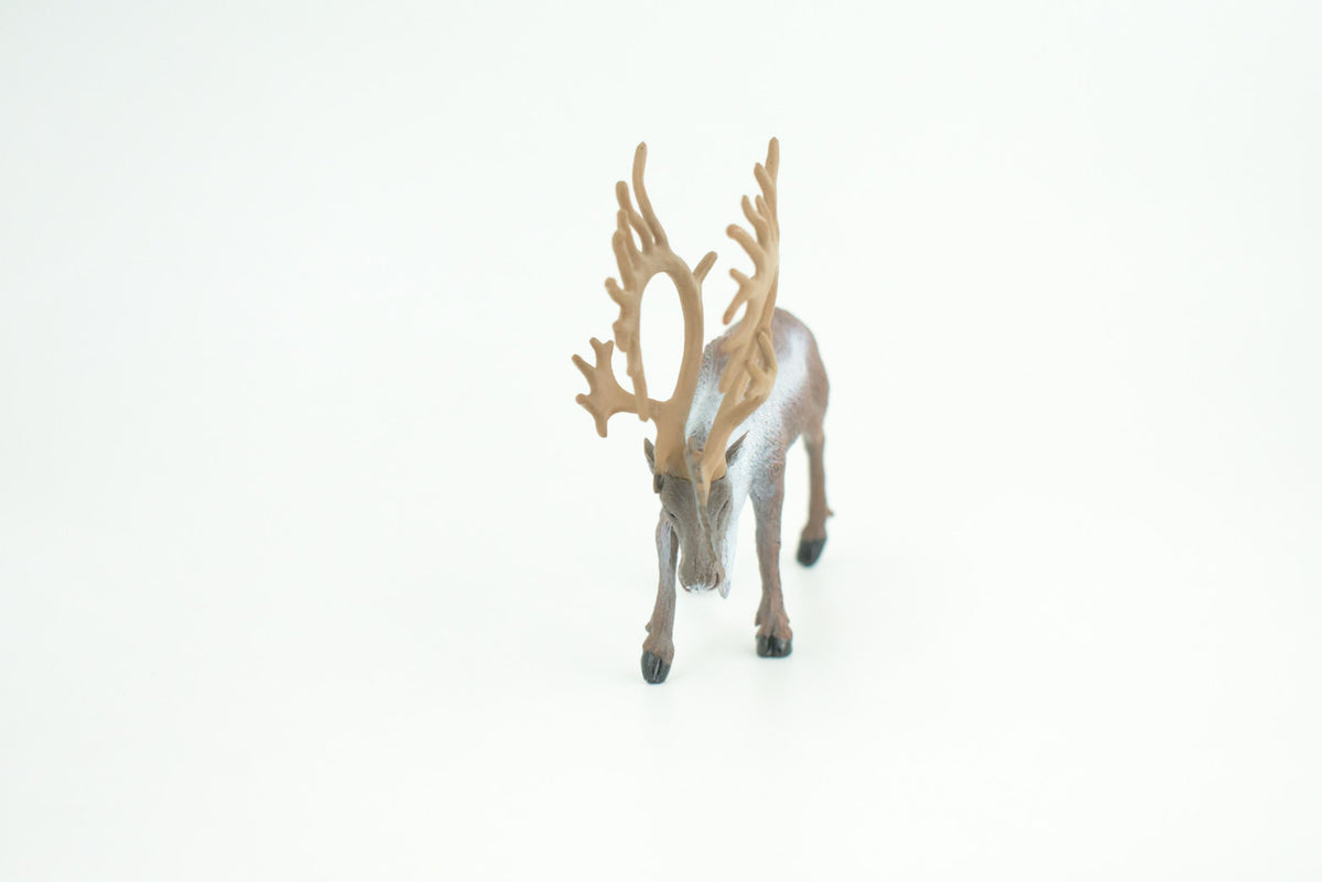 Reindeer, Caribou, Museum Quality, Educational, Hand Painted, Realistic, Rubber Animal, Realistic, Diorama, Toy, Kids, Gift,  4 1/2 Inches.  CH808 BB188