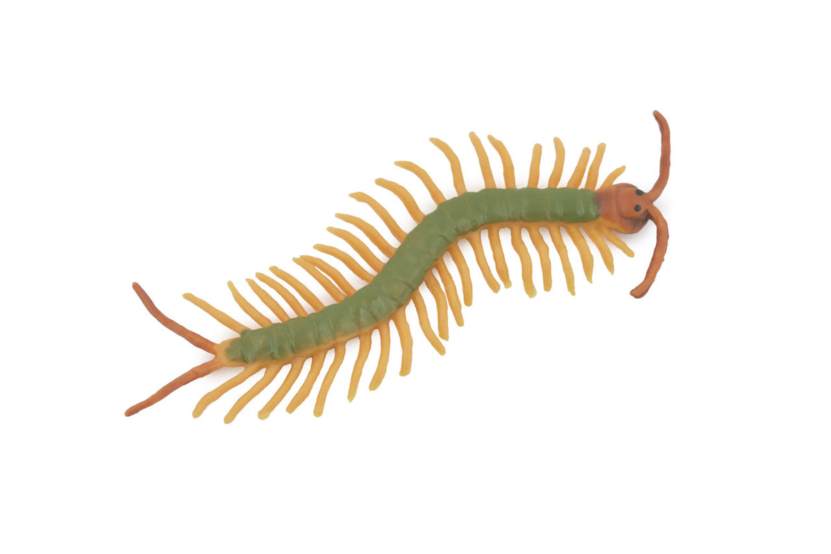 Centipede, Green, Arthropods, Museum Quality, Hand Painted, Rubber Chilopoda, Realistic, Figure, Model, Replica, Toy, Kids, Educational, Gift,    3"     CH518 BB158
