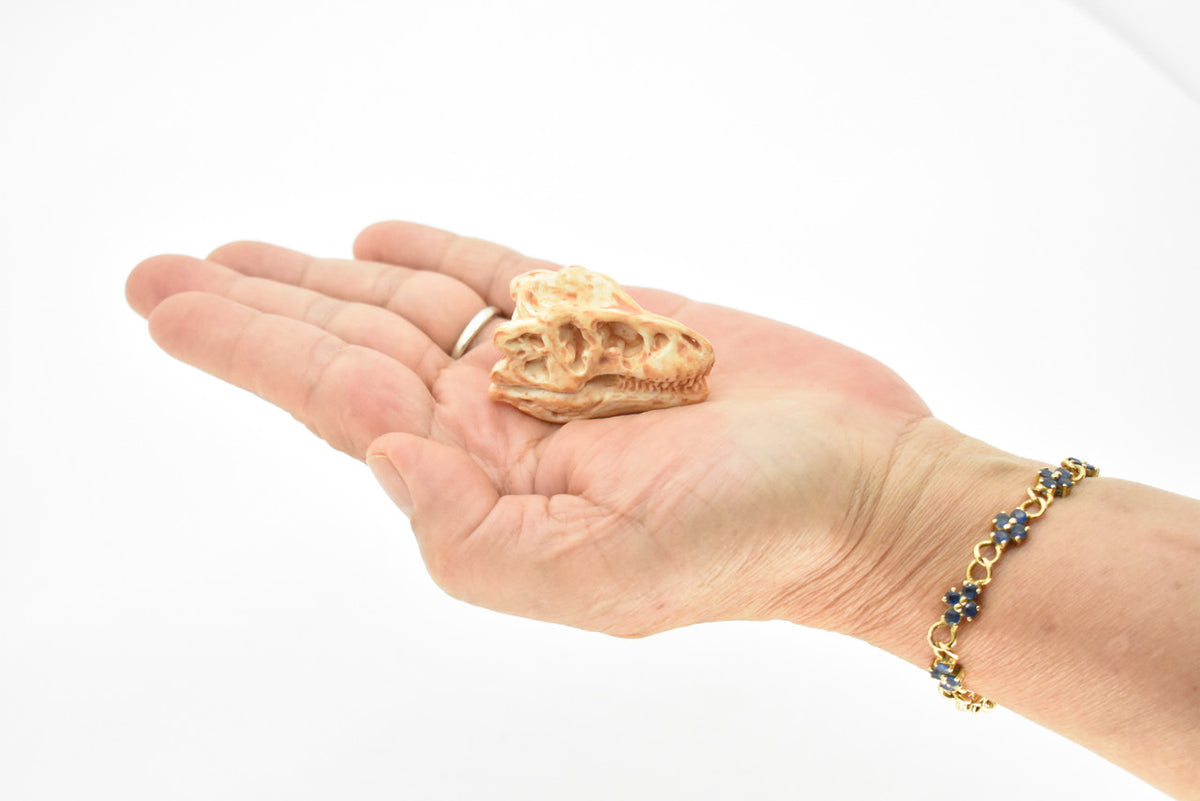 T-Rex, Tyrannosaurus Rex Dinosaur, Skull Fossil, king of the tyrant lizards, Very Realistic, Hard Rubber, Educational, Figure, Diorama Model, Prehistoric, Bones, Toy, 2 Inches 