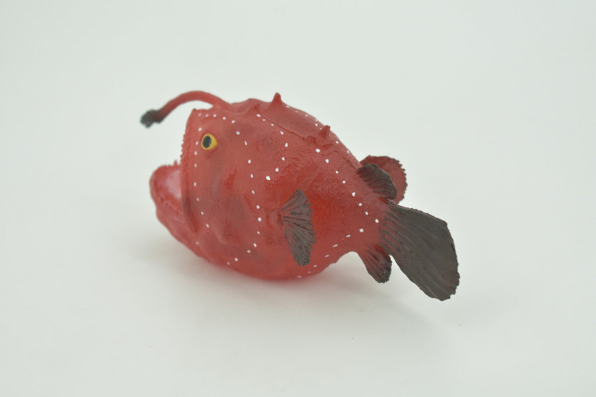Anglerfish, Lophiiformes, Museum Quality, Hand Painted, Realistic, Solid Rubber, Animal, Figure, Model, Toy, Kids, Educational, Gift    5"     CH285 BB178