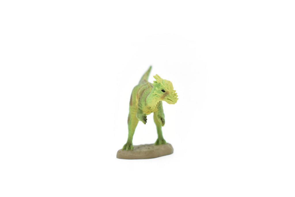Pachycephalosaurus Dinosaur, Museum Quality, Animal, Educational, Realistic Hand Painted, Figure, Lifelike Model, Vintage Replica, Toy,  2 Inches. 