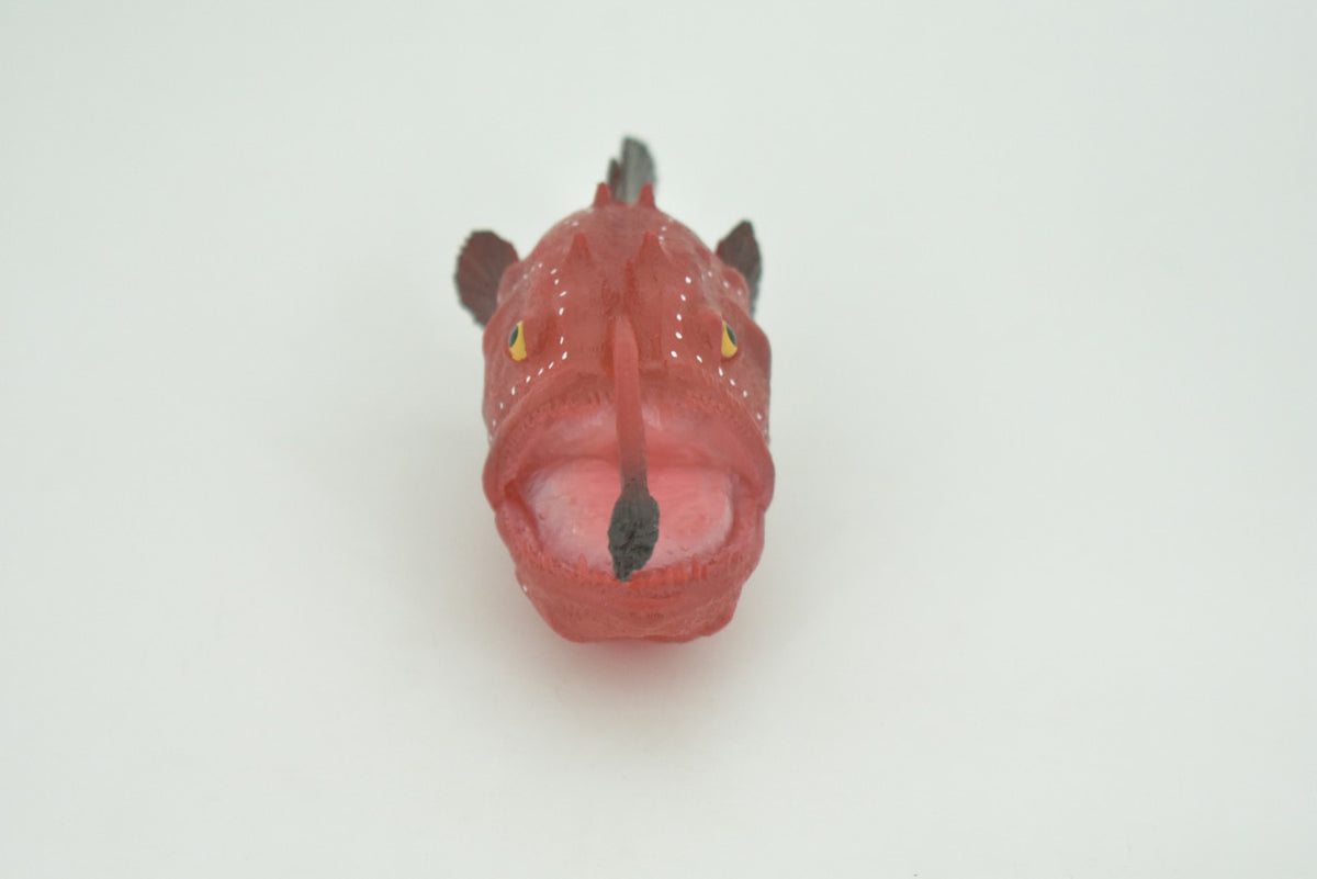 Anglerfish, Lophiiformes, Museum Quality, Hand Painted, Realistic, Solid Rubber, Animal, Figure, Model, Toy, Kids, Educational, Gift    5"     CH285 BB178
