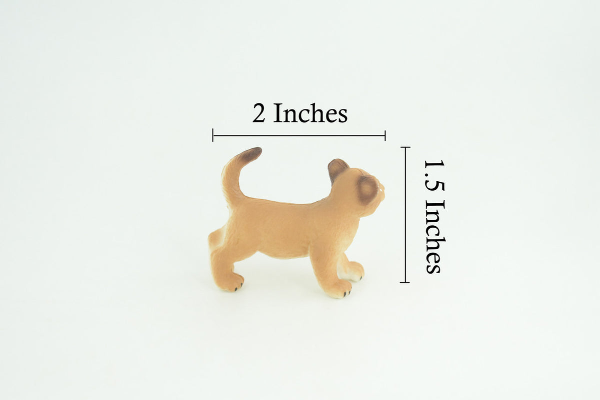  Mountain Lion, Puma Cub, Baby, Museum Quality, Hand Painted, Rubber Animal, Educational, Realistic, Figure, Toy, Kids, Replica, Gift, 2 Inches. CH874 BB199