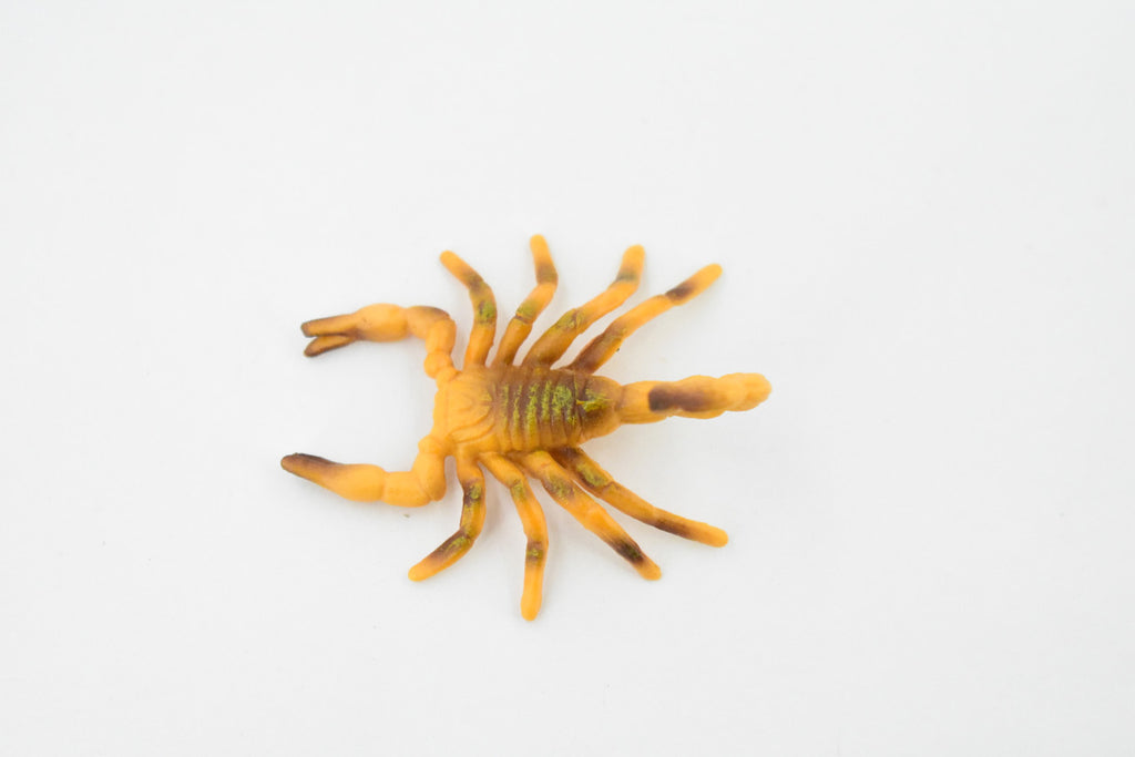 Scorpion, Brown, Arachnids, High Quality, Hand Painted, Educational, Realistic Toy Figure, Diorama Model, Replica, Kids,  2 1/2 Inches. 