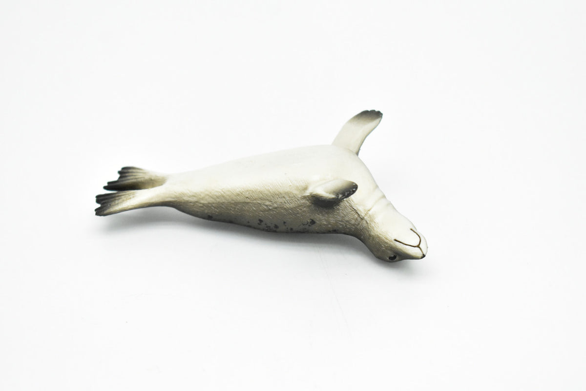 Seal, Grey, Realistic Toy Model Plastic Replica, Kids Educational Gift   4.5" M041 B638