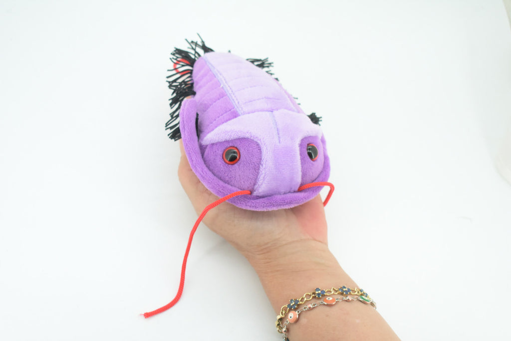 Trilobite, Asaphiscus wheeleri, Marine Arthropod, Fossil, Plush Design, Educational, Figure, Replica, Gift,    6"   GM03 B108