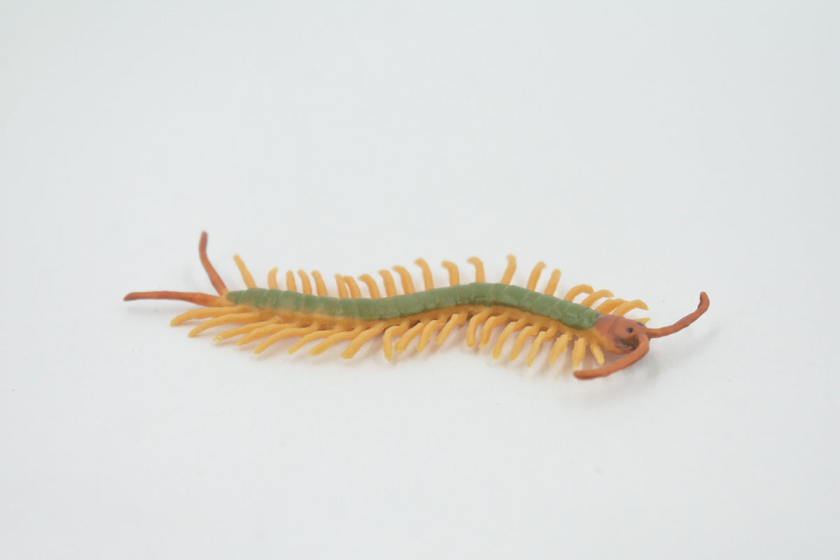 Centipede, Green, Arthropods, Museum Quality, Hand Painted, Rubber Chilopoda, Realistic, Figure, Model, Replica, Toy, Kids, Educational, Gift,    3"     CH518 BB158
