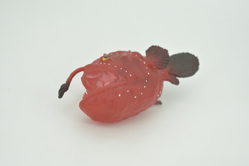Anglerfish, Lophiiformes, Museum Quality, Hand Painted, Realistic, Solid Rubber, Animal, Figure, Model, Toy, Kids, Educational, Gift    5"     CH285 BB178
