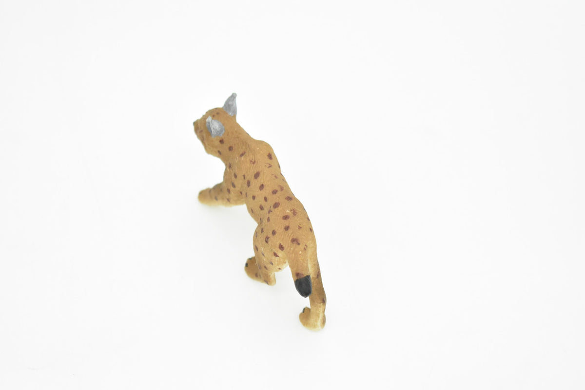 Bobcat, Lynx Rufus, Very Nice Design, Hand Painted, Educational, Rubber Animal, Realistic Toy Figure, Diorama Model, Kids, 3 Inches. 