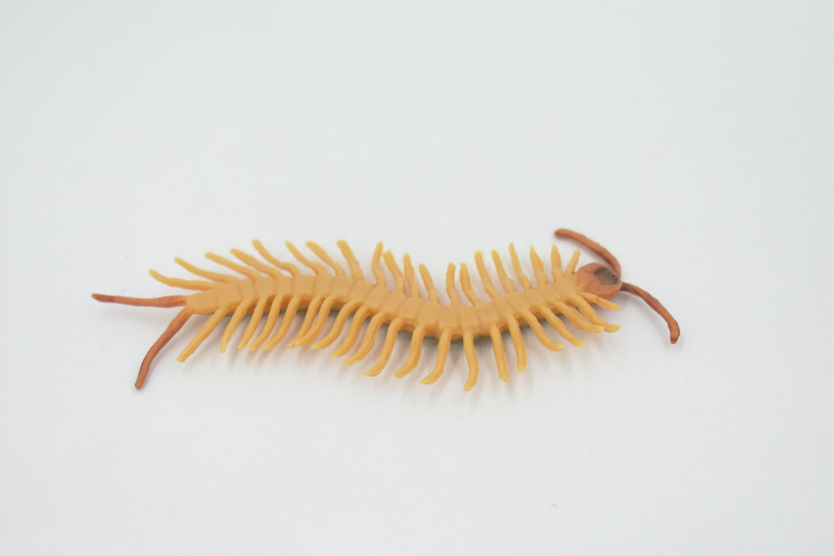 Centipede, Green, Arthropods, Museum Quality, Hand Painted, Rubber Chilopoda, Realistic, Figure, Model, Replica, Toy, Kids, Educational, Gift,    3"     CH518 BB158