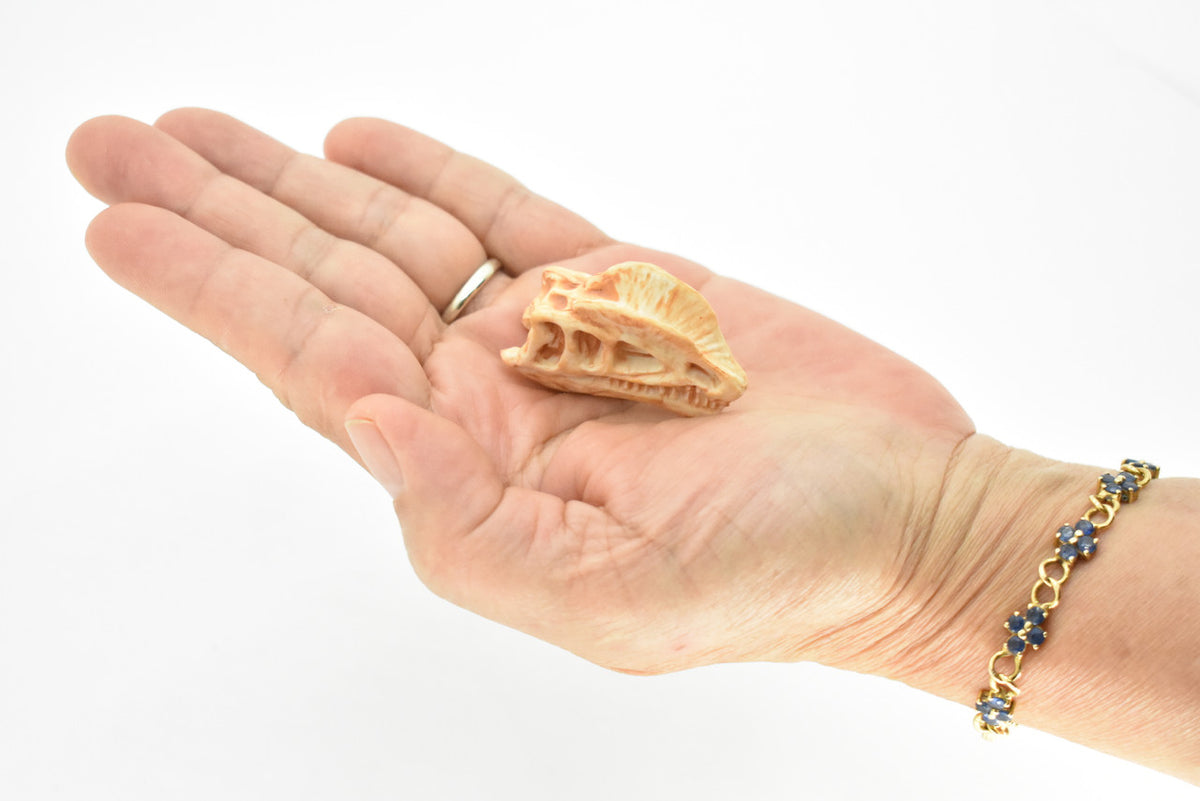 Dilophosaurus, Dinosaur Skull Fossil, Jurassic apex predator, Very Realistic, Hard Rubber, Educational, Figure, Diorama Model, Prehistoric, Bones, Toy,  2 Inches 