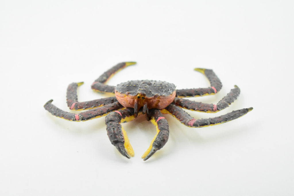 Crab, King Crab, Museum Quality, Hand Painted, Rubber Crustaceans, Realistic Toy Figure, Model, Replica, Kids, Educational, Gift,       5"    CH197 BB117