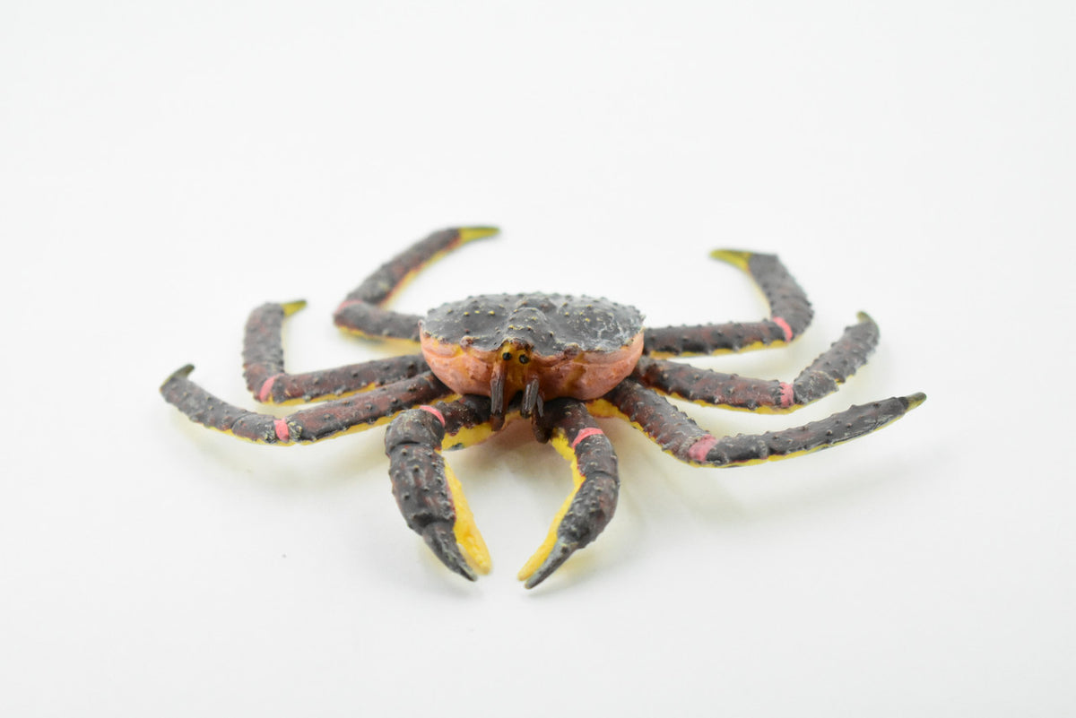 Crab, King Crab, Museum Quality, Hand Painted, Rubber Crustaceans, Realistic Toy Figure, Model, Replica, Kids, Educational, Gift,       5"    CH197 BB117