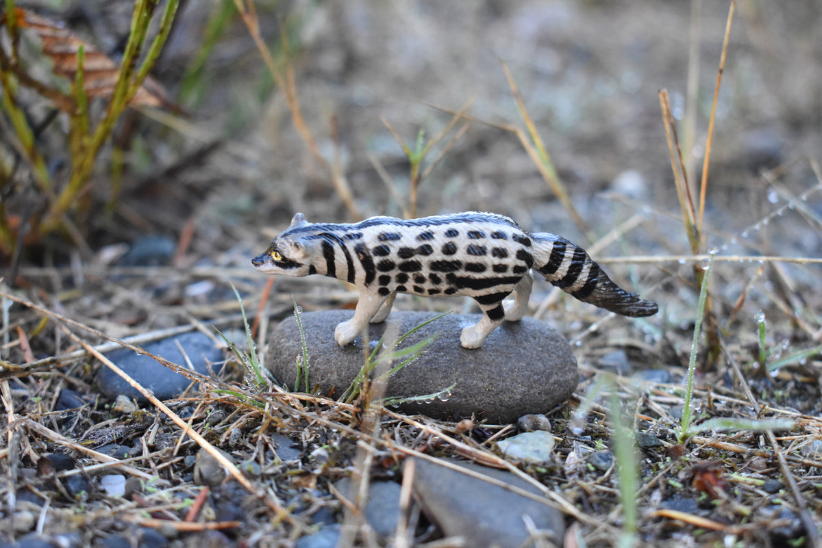 African Civet Cat, Civettictis civetta, Hand Painted, Realistic, Very Nice Rubber Design, Educational, Diorama Model, Lifelike, Toy,  3 Inches.