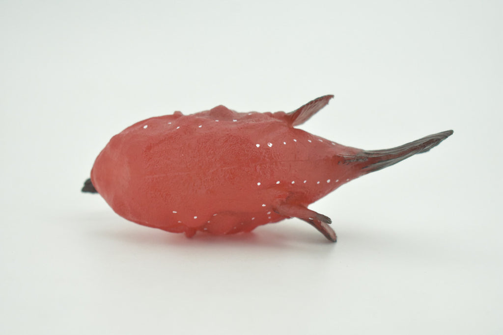 Anglerfish, Lophiiformes, Museum Quality, Hand Painted, Realistic, Solid Rubber, Animal, Figure, Model, Toy, Kids, Educational, Gift    5"     CH285 BB178