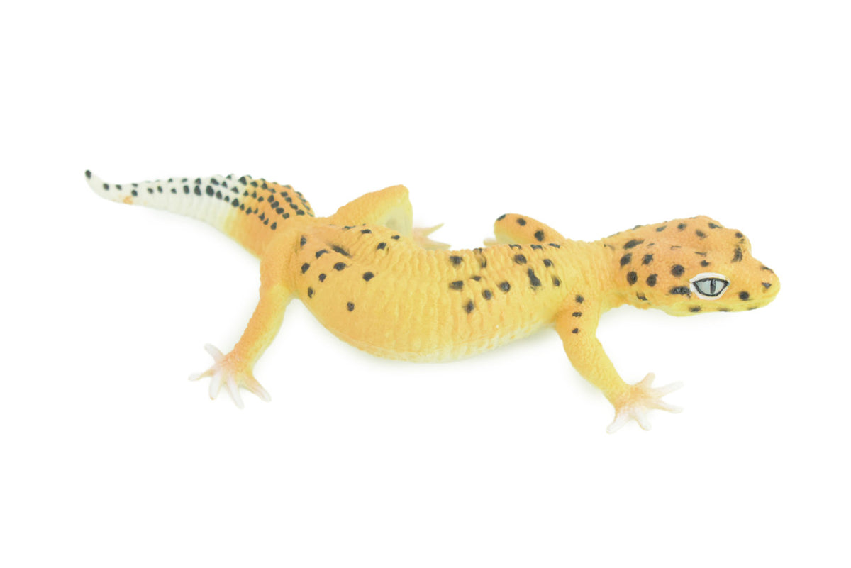 Leopard Gecko, Museum Quality, Educational, Hand Painted, Rubber Lizard, Realistic Reptile, Diorama, Toy, Kids, Gift, 7 Inches. CH786 BB185