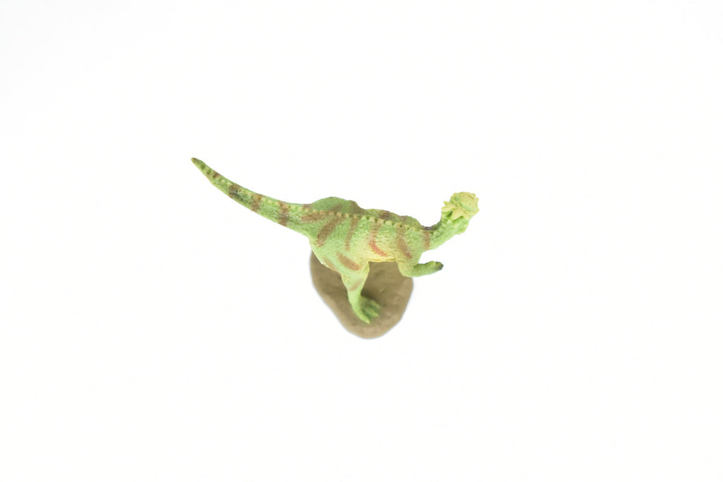 Pachycephalosaurus Dinosaur, Museum Quality, Animal, Educational, Realistic Hand Painted, Figure, Lifelike Model, Vintage Replica, Toy, Gift,    2 Inches.     F8120 B117
