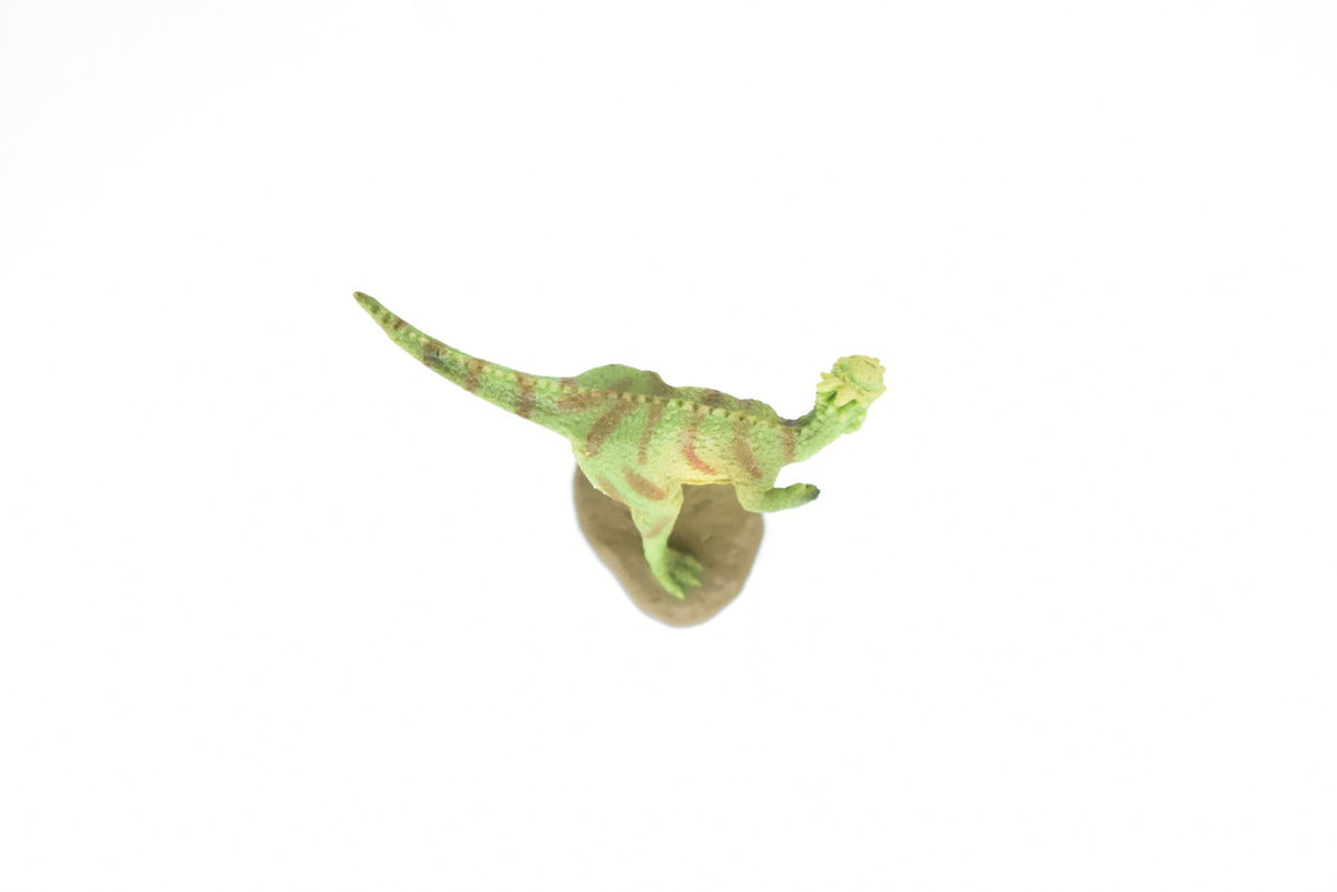Pachycephalosaurus Dinosaur, Museum Quality, Animal, Educational, Realistic Hand Painted, Figure, Lifelike Model, Vintage Replica, Toy, Gift,    2 Inches.     F8120 B117