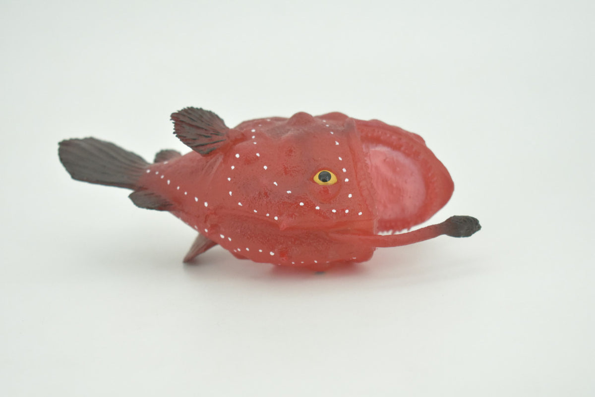 Anglerfish, Lophiiformes, Museum Quality, Hand Painted, Realistic, Solid Rubber, Animal, Figure, Model, Toy, Kids, Educational, Gift    5"     CH285 BB178