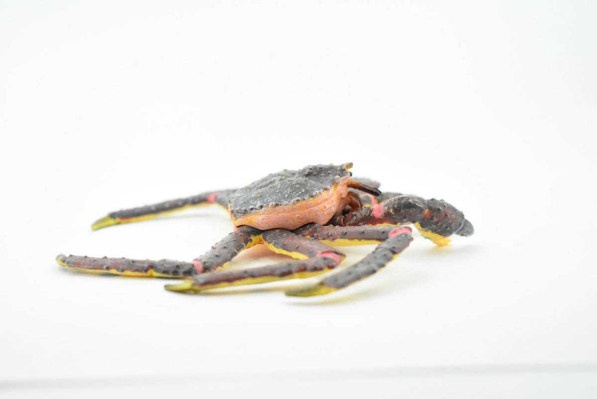 Crab, King Crab, Museum Quality, Hand Painted, Rubber Crustaceans, Realistic Toy Figure, Model, Replica, Kids, Educational, Gift,       5"    CH197 BB117