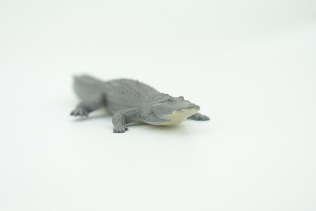 American Alligator, Alligator mississippiensis, Hand Painted, Educational, Rubber Reptile, Realistic Figure, Lifelike, Gift,    4"    SF40 B15