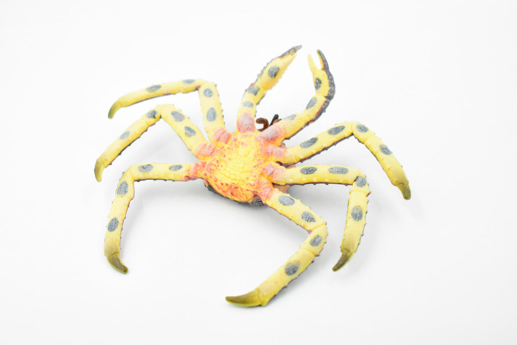 Crab, King Crab, Museum Quality, Hand Painted, Rubber Crustaceans, Realistic Toy Figure, Model, Replica, Kids, Educational, Gift,       5"    CH197 BB117
